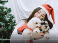 Pet Photos with Santa @ The Bloc